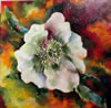 Lenten Rose	Acrylic on Canvas	12 x 12