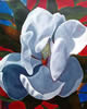 Magnolia II	Acrylic on Canvas	24 x 36